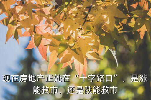 現(xiàn)在房地產(chǎn)正處在“十字路口”，是漲能救市，還是跌能救市