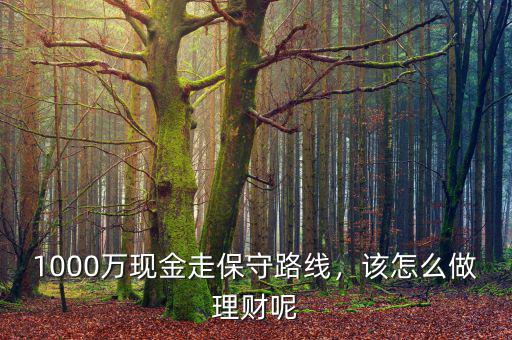 1000萬現(xiàn)金走保守路線，該怎么做理財呢