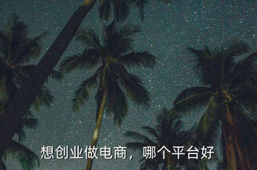 想創(chuàng)業(yè)做電商，哪個平臺好