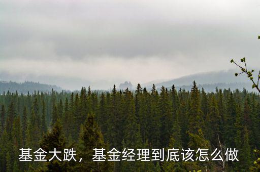 基金大跌，基金經理到底該怎么做