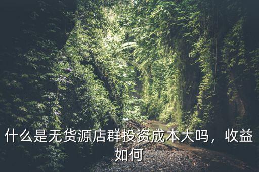 什么是無貨源店群投資成本大嗎，收益如何