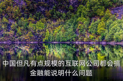 中國但凡有點規(guī)模的互聯網公司都會搞金融能說明什么問題