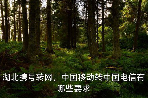湖北攜號轉(zhuǎn)網(wǎng)，中國移動轉(zhuǎn)中國電信有哪些要求