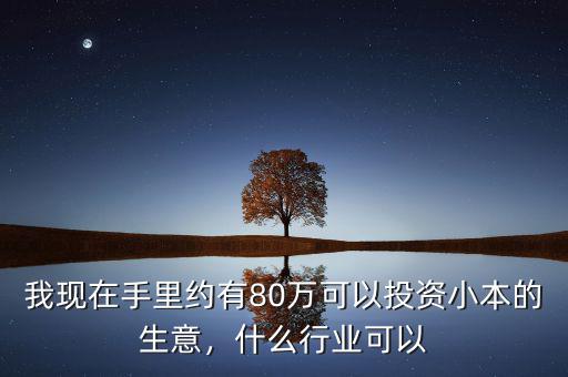 我現(xiàn)在手里約有80萬可以投資小本的生意，什么行業(yè)可以