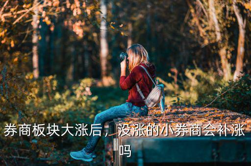 券商板塊大漲后，沒漲的小券商會(huì)補(bǔ)漲嗎