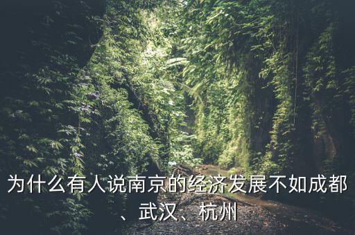 為什么有人說南京的經(jīng)濟發(fā)展不如成都、武漢、杭州