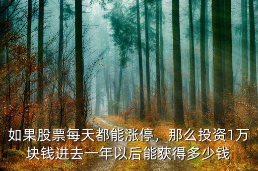 如果股票每天都能漲停，那么投資1萬塊錢進去一年以后能獲得多少錢
