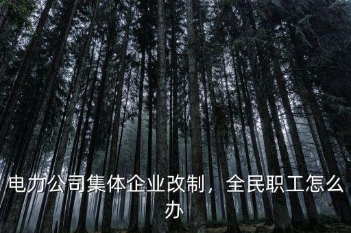 電力公司集體企業(yè)改制，全民職工怎么辦