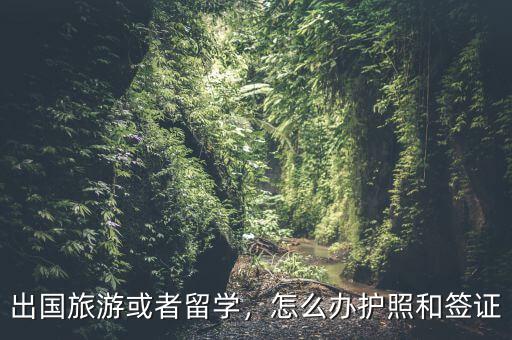 出國旅游或者留學(xué)，怎么辦護(hù)照和簽證