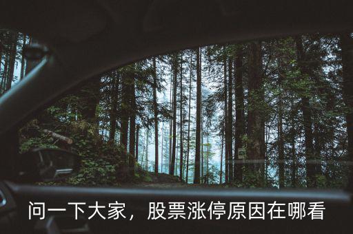 問一下大家，股票漲停原因在哪看