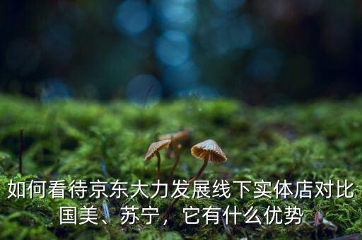 如何看待京東大力發(fā)展線下實體店對比國美、蘇寧，它有什么優(yōu)勢