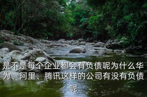 是不是每個(gè)企業(yè)都會(huì)有負(fù)債呢為什么華為、阿里、騰訊這樣的公司有沒有負(fù)債呢
