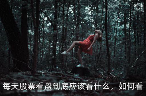 每天股票看盤(pán)到底應(yīng)該看什么，如何看