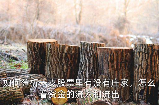 如何分析一支股票里有沒有莊家，怎么看資金的流入和流出