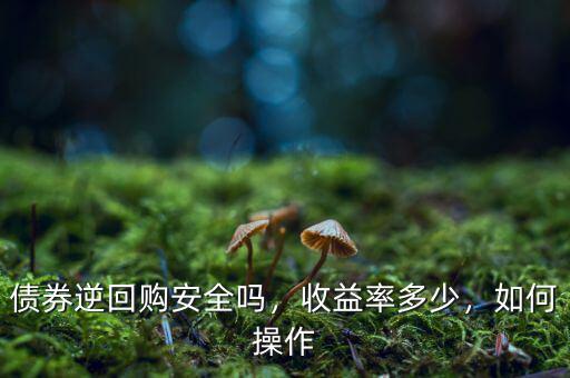 債券逆回購(gòu)安全嗎，收益率多少，如何操作