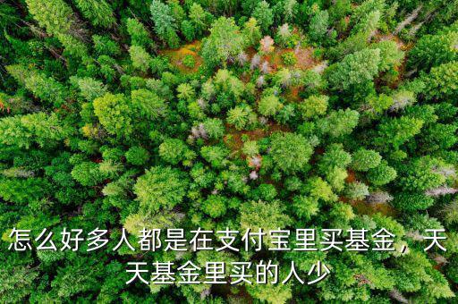 怎么好多人都是在支付寶里買基金，天天基金里買的人少