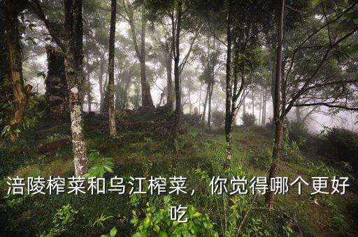 涪陵榨菜和烏江榨菜，你覺得哪個更好吃