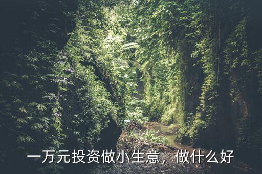 一萬元投資做小生意，做什么好