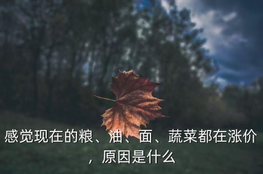 什么在漲價(jià),為什么現(xiàn)在的房價(jià)還在漲價(jià)