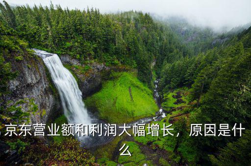 京東營業(yè)額和利潤大幅增長，原因是什么