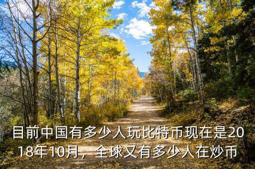 目前中國(guó)有多少人玩比特幣現(xiàn)在是2018年10月，全球又有多少人在炒幣