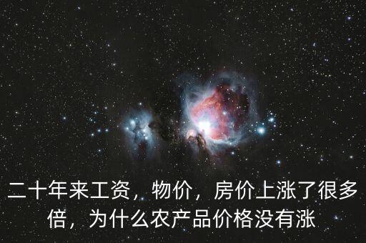 二十年來工資，物價(jià)，房價(jià)上漲了很多倍，為什么農(nóng)產(chǎn)品價(jià)格沒有漲