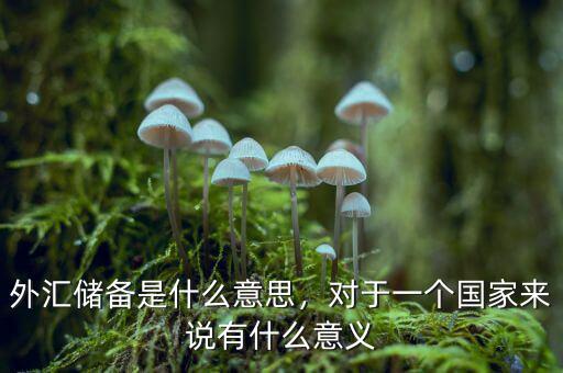外匯儲備是什么意思，對于一個國家來說有什么意義
