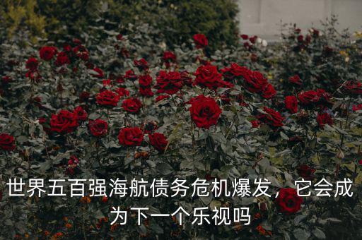 世界五百?gòu)?qiáng)海航債務(wù)危機(jī)爆發(fā)，它會(huì)成為下一個(gè)樂(lè)視嗎