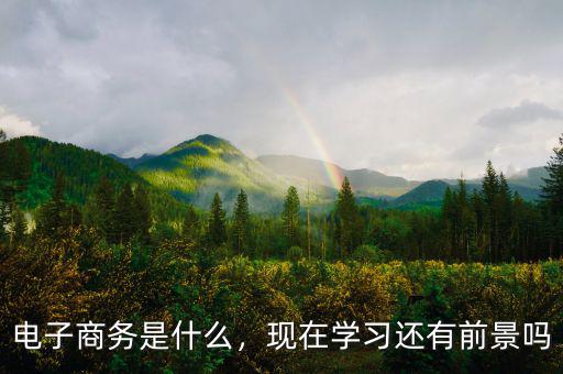 電子商務(wù)是什么，現(xiàn)在學習還有前景嗎