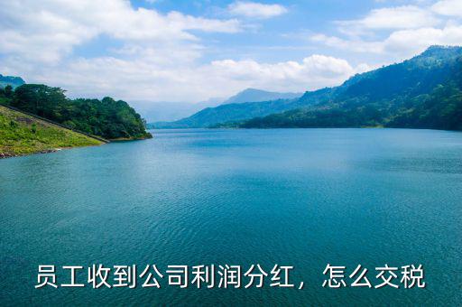 員工收到公司利潤(rùn)分紅，怎么交稅