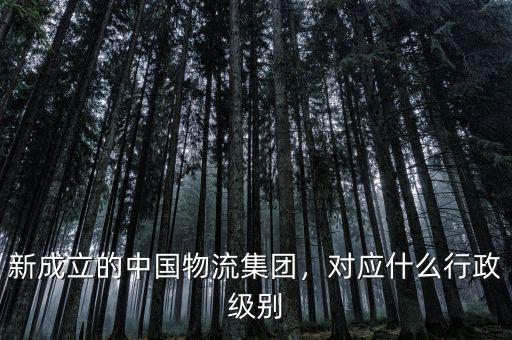 新成立的中國物流集團，對應(yīng)什么行政級別