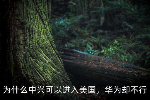為什么中興可以進(jìn)入美國，華為卻不行
