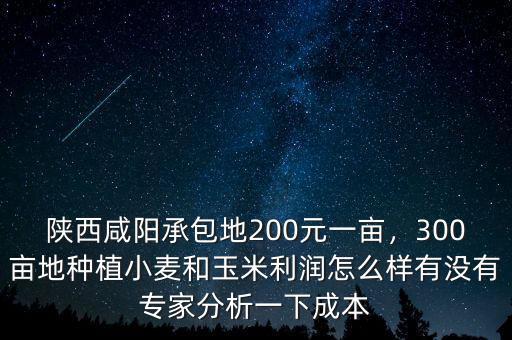 陜西咸陽(yáng)承包地200元一畝，300畝地種植小麥和玉米利潤(rùn)怎么樣有沒(méi)有專(zhuān)家分析一下成本