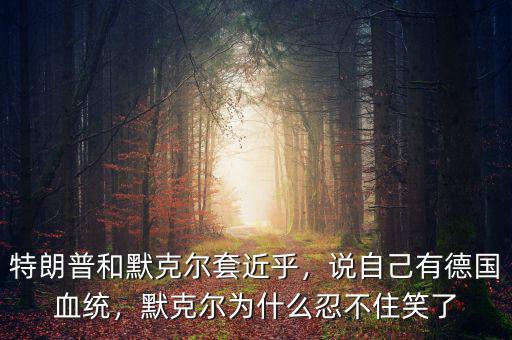 特朗普和默克爾套近乎，說自己有德國血統(tǒng)，默克爾為什么忍不住笑了