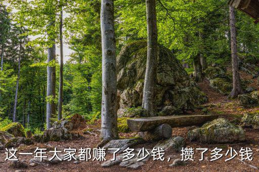 這一年大家都賺了多少錢，攢了多少錢