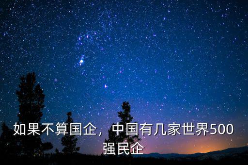 如果不算國企，中國有幾家世界500強民企