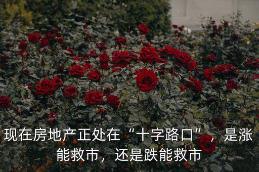 現(xiàn)在房地產(chǎn)正處在“十字路口”，是漲能救市，還是跌能救市