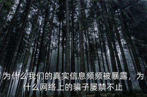 為什么我們的真實信息頻頻被暴露，為什么網(wǎng)絡(luò)上的騙子屢禁不止