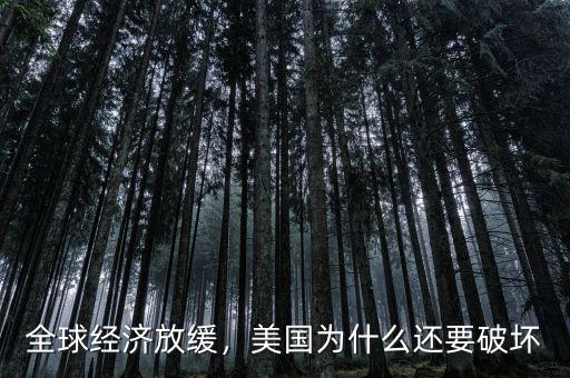 全球經(jīng)濟(jì)放緩，美國(guó)為什么還要破壞