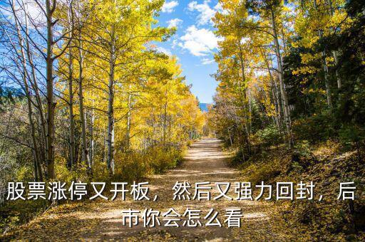 股票漲停又開板，然后又強力回封，后市你會怎么看