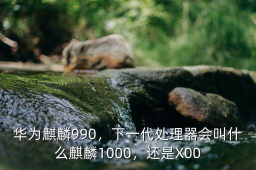 華為麒麟990，下一代處理器會(huì)叫什么麒麟1000，還是X00