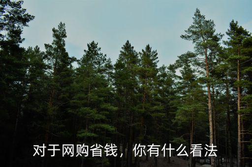 對于網(wǎng)購省錢，你有什么看法
