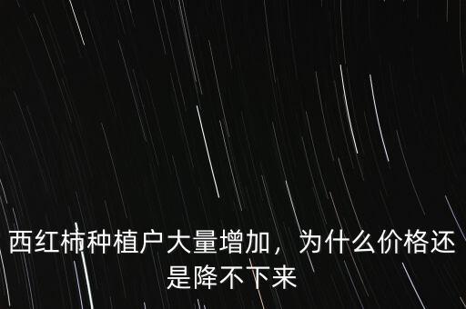西紅柿種植戶大量增加，為什么價(jià)格還是降不下來