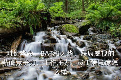 桐廬?？低曉趺礃?員工滿意度怎么樣
