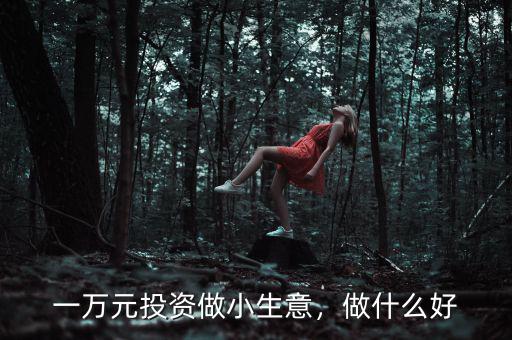 一萬(wàn)元投資做小生意，做什么好