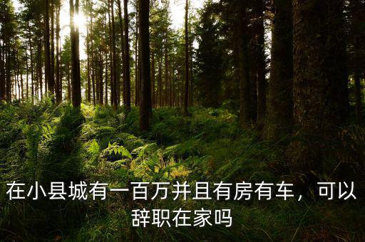 在小縣城有一百萬并且有房有車，可以辭職在家嗎