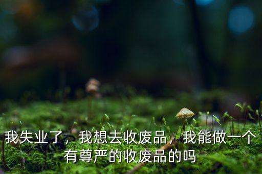 我失業(yè)了，我想去收廢品，我能做一個(gè)有尊嚴(yán)的收廢品的嗎