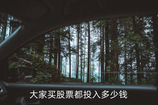 股市投入總財(cái)富的多少合適,大家買股票都投入多少錢(qián)