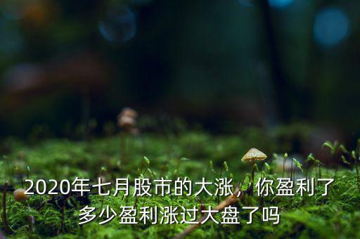 2020年七月股市的大漲，你盈利了多少盈利漲過大盤了嗎