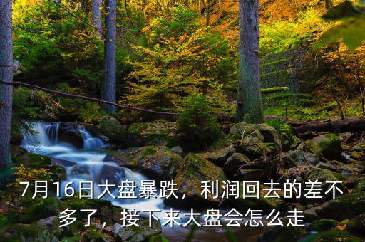 7月16日大盤(pán)暴跌，利潤(rùn)回去的差不多了，接下來(lái)大盤(pán)會(huì)怎么走